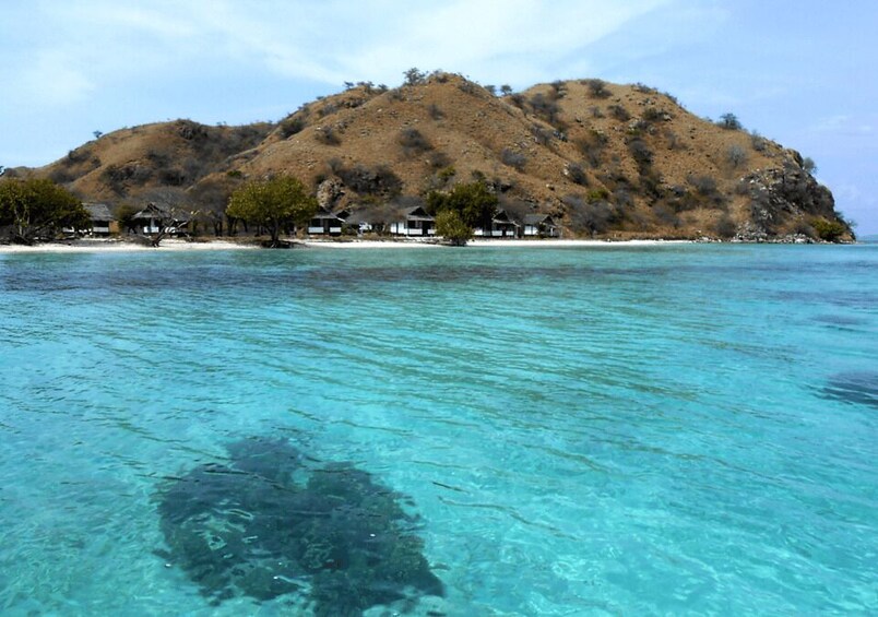 Picture 9 for Activity Komodo Islands: Private 2-Day Tour on a Wooden Boat