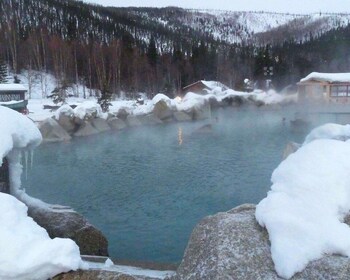 From Fairbanks: Chena Hot Springs Northern Lights Tour