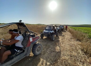 Sicily: Off-Road quad bike Buggy Tour