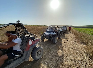 Sicilia: Terreng-ATV-buggy-tur i terrenget