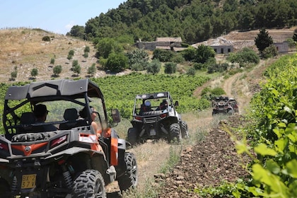 Sicily: Off-Road quad bike Buggy Tour