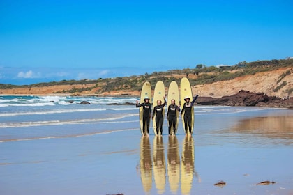 Anglesea: clase de surf de 2 horas en la Great Ocean Road
