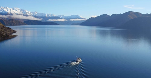 Stevensons Island 2-Hour Cruise and Nature Walk