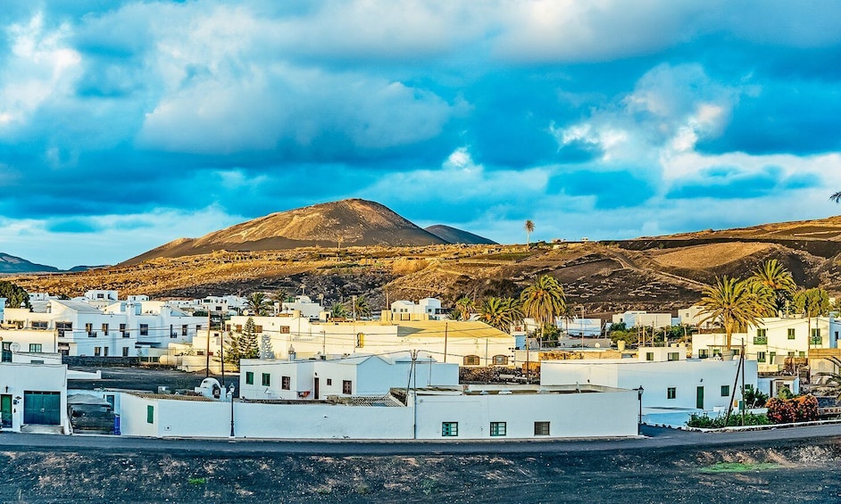 Picture 11 for Activity Lanzarote: Volcanos of Timanfaya and Caves Tour with Lunch