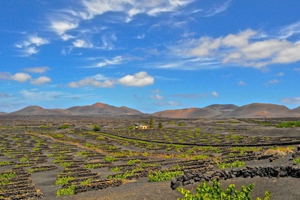 Lanzarote : Volcans de Timanfaya et grottes avec déjeuner