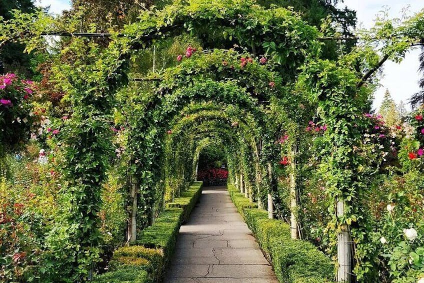 Butchart Gardens