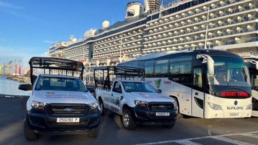 Moorea Cruise Ships: 4x4, Belvedere,Magic Mountain pineaple