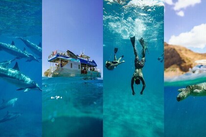 Oahu: nado con delfines, snorkel con tortugas, actividades en toboganes acu...