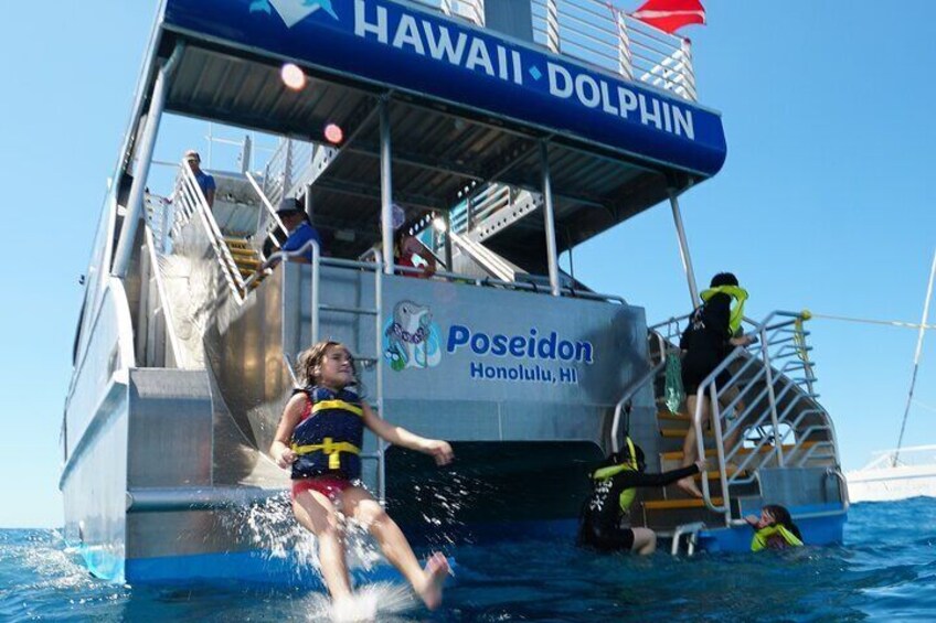 Oahu: Swim with Dolphins, Turtle Snorkel, Waterslide Activities