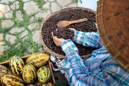 Private Tour to Treasures of Mitla with chocolate experience