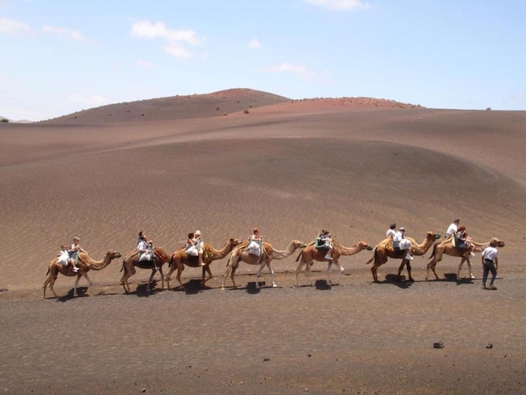 Group camel ride in Spain 