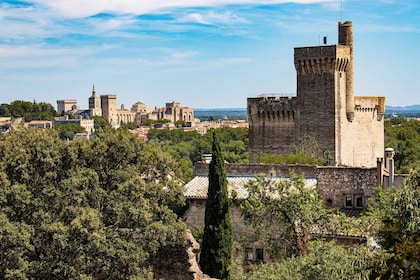 Avignon: Privat rundvandring - Upptäck historia och kulturarv
