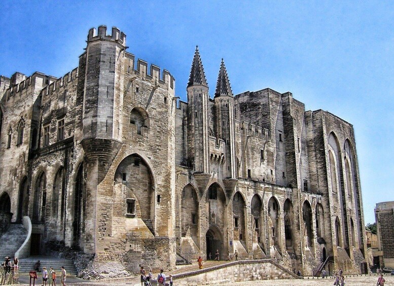 Picture 2 for Activity Private Walking Tour of Avignon