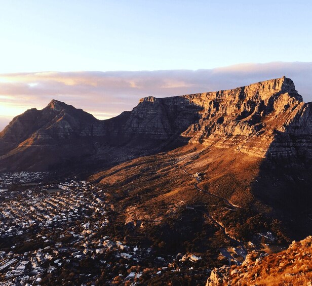 Picture 6 for Activity Cape of Good Hope Full-Day Private Tour
