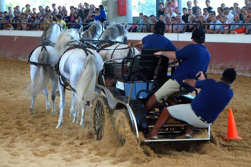 Picture 16 for Activity Jerez: Yeguada de la Cartuja Carthusian Horses Tour