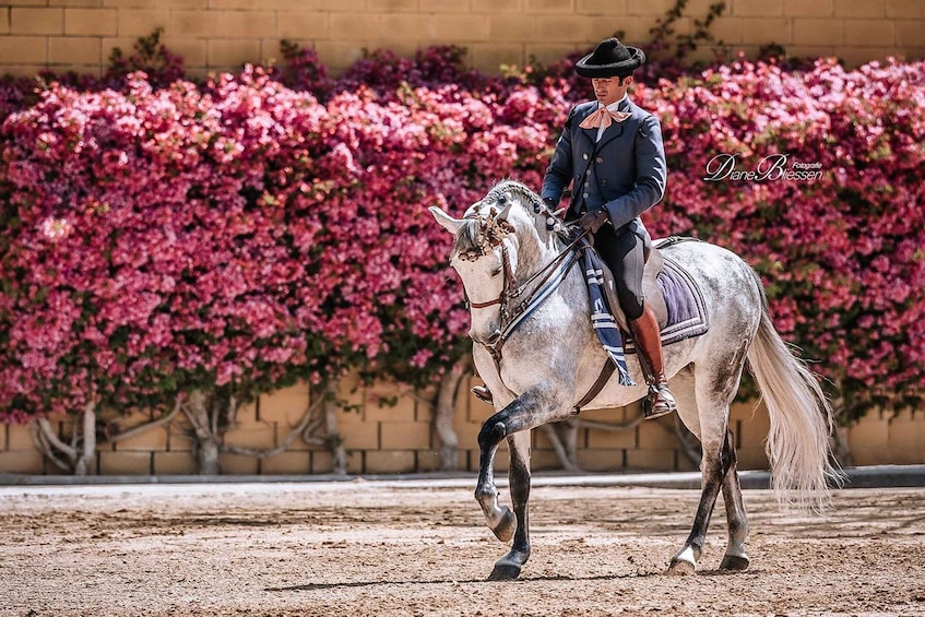 Picture 25 for Activity Jerez: Yeguada de la Cartuja Carthusian Horses Tour