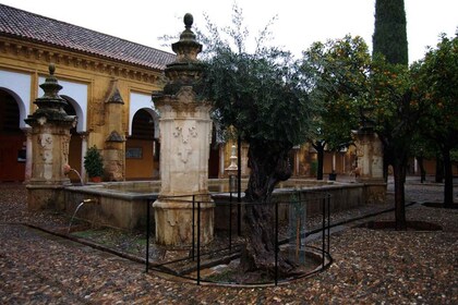 Visite privée de la mosquée-cathédrale et du quartier juif