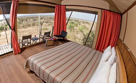 3-daagse Maasai Mara luxe safari - Ervaar Kenia per vliegtuig