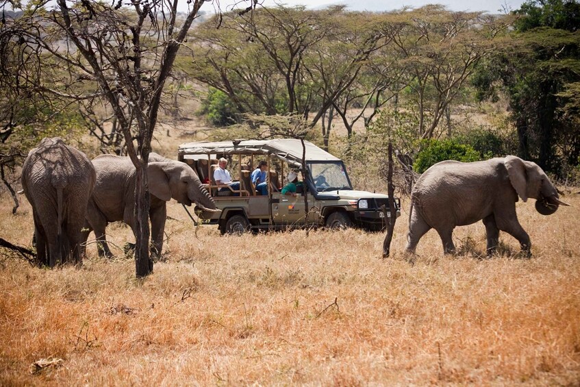 3-Day Maasai Mara Luxury Safari - Experience Kenya by Air