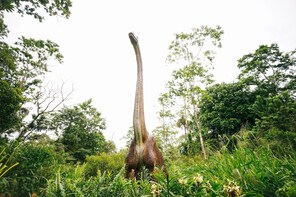 Private Dinosaur Park, Hot Springs & Mud Bath Tour & More