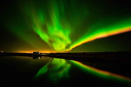 Reykjavik: Nordlicht Minibustour mit heißer Schokolade