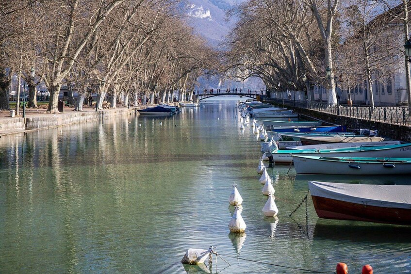 Picture 4 for Activity Private Walking Tour of Annecy's Historical Center