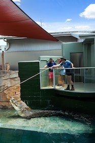 Darwin: VIP-upplevelse i Crocosaurus Cove