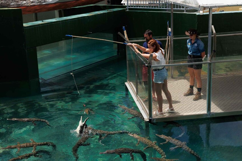 Picture 3 for Activity Darwin: VIP Crocosaurus Cove Experience