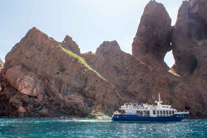 Picture 4 for Activity Ajaccio/Porticcio: Scandola Nature Reserve Guided Boat Tour