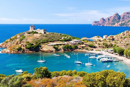 Ajaccio/Porticcio: Scandola Nature Reserve Guided Boat Tour