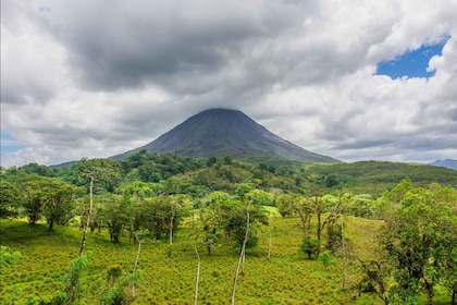 Alajuela: 4-Hour Arenal Rainforest Trek