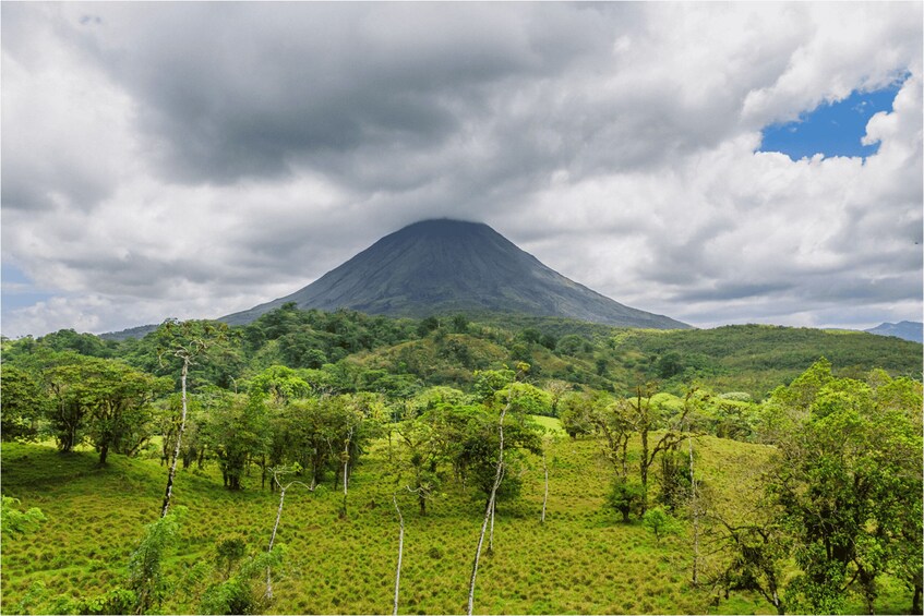 Picture 1 for Activity Alajuela: 4-Hour Arenal Rainforest Trek