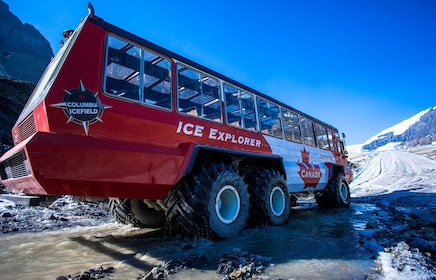 Jasper : Skywalk du champ de glace Columbia et billet d’explorateur de glac...