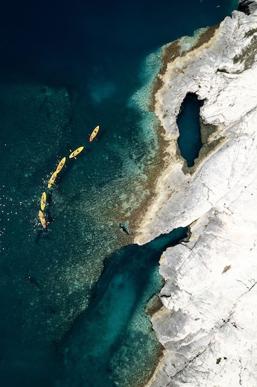 Picture 3 for Activity From Zadar: Dugi Otok Half-Day Kayak Adventure