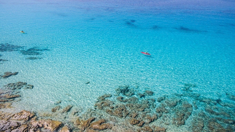 From Zadar: Dugi Otok Half-Day Kayak Adventure