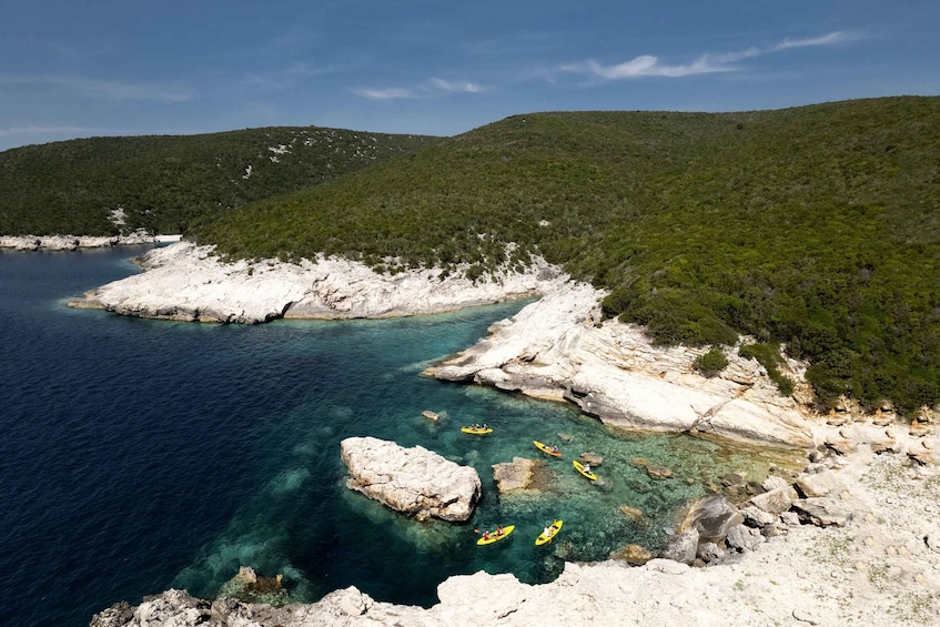 Picture 5 for Activity From Zadar: Dugi Otok Half-Day Kayak Adventure