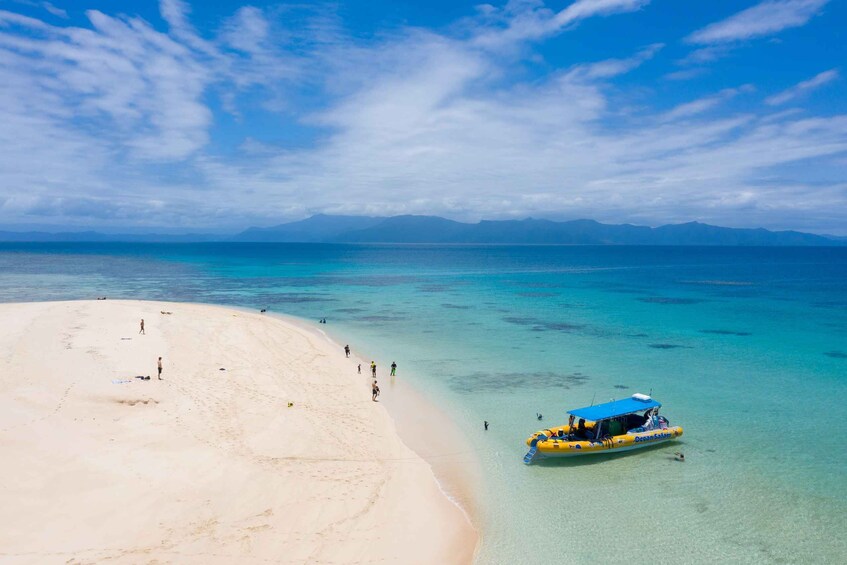 Picture 1 for Activity Cape Tribulation Ocean Safari Tour