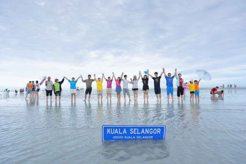 Picture 13 for Activity Sky Mirror - Kuala Selangor and Sekinchan Paddy Field Tour