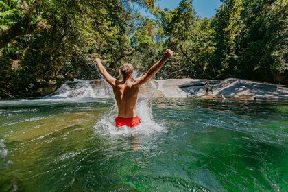From Cairns: Atherton Tableland Wilderness Tour with Lunch