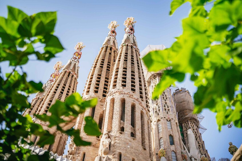 Picture 6 for Activity Barcelona: Sagrada Familia Skip-the-Line Entry Ticket & Tour