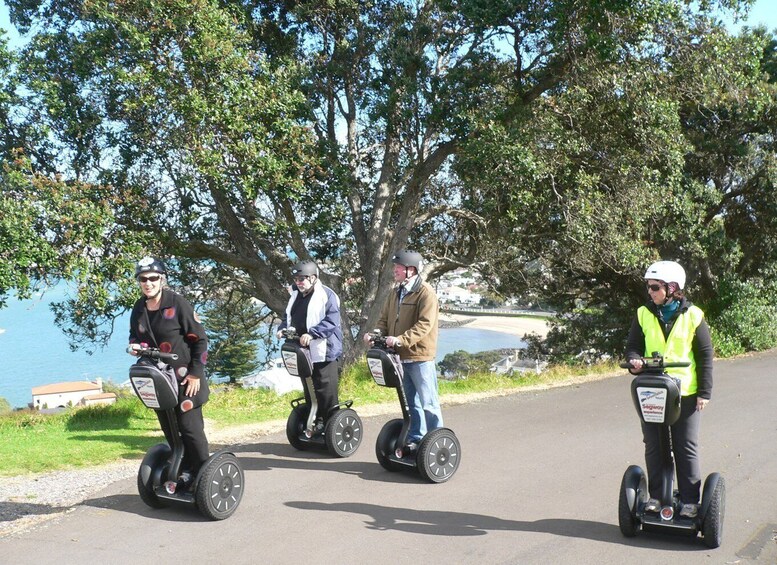 Picture 5 for Activity Auckland: Segway to North Head Volcano Summit