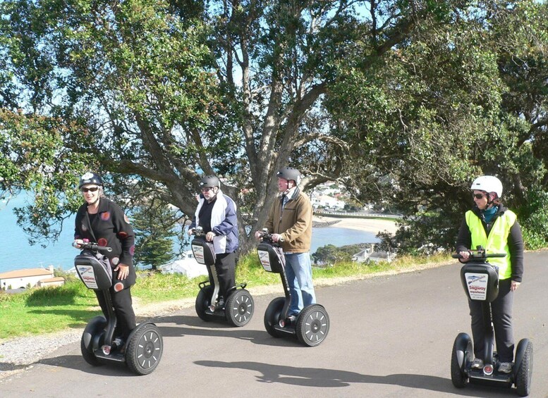 Picture 5 for Activity Auckland: Segway to North Head Volcano Summit