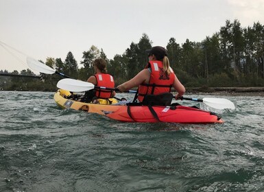 Calgary: Self-Guided Kayak Tour on the Bow River