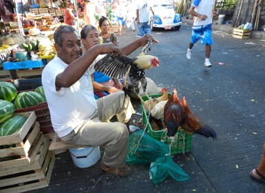 *Petroglifos Arqueológicos Palma Sola, Mercado & Almuerzo