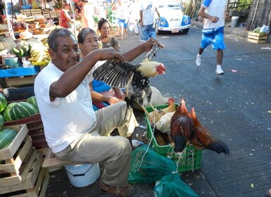 *Petroglif Palma Sola Arkeologi, Mercado & Makan Siang