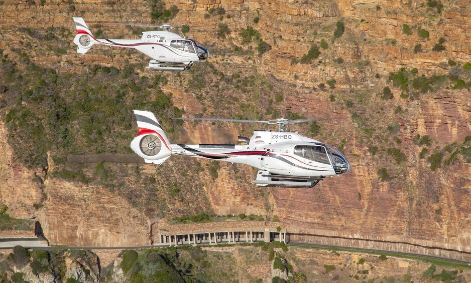 Cape Town: 2 Oceans Helicopter Flight with Boat Tour Ticket