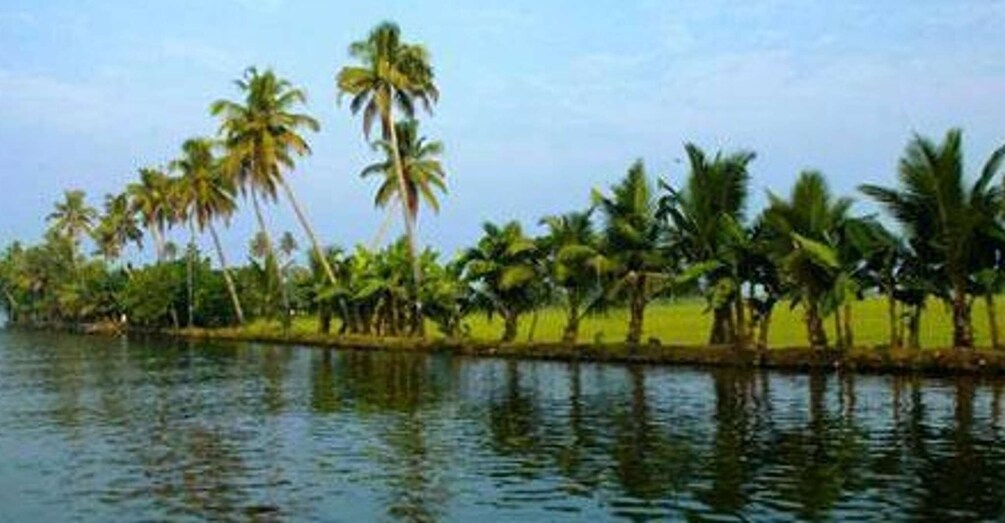 Picture 1 for Activity Cochin: Alleppey Backwater Private Day Cruise by Houseboat