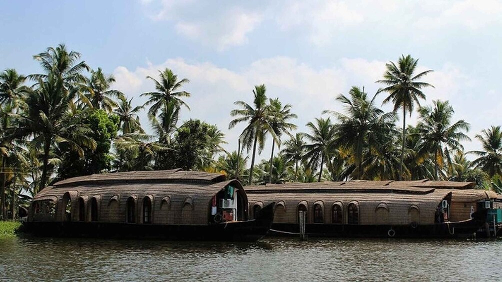 Picture 8 for Activity Cochin: Alleppey Backwater Private Day Cruise by Houseboat