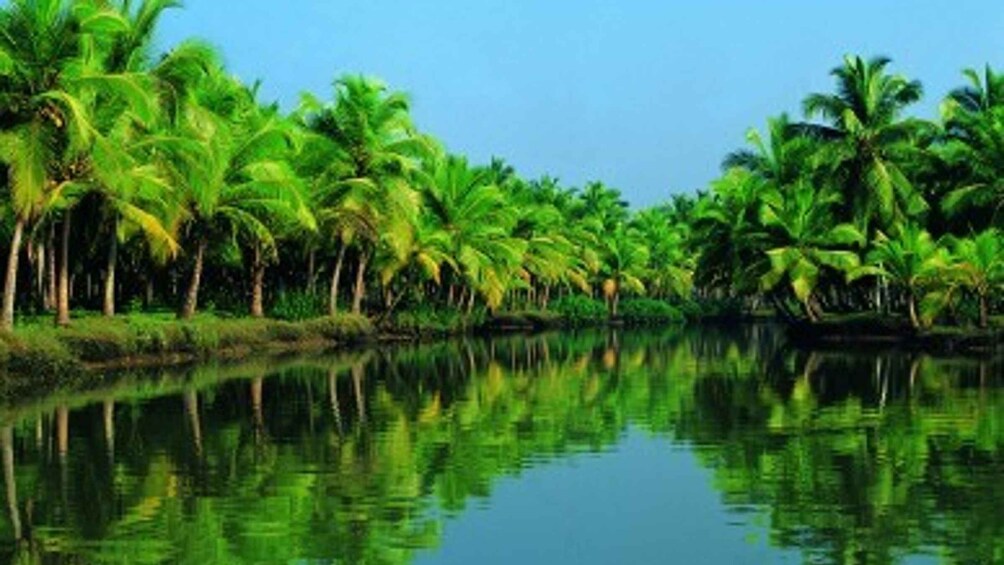 Picture 11 for Activity Cochin: Alleppey Backwater Private Day Cruise by Houseboat