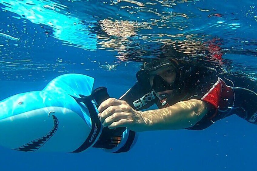 Sea Scooter Snorkeling Tour - Ocean Safari with Turtles, Rays, Sharks & Dolphins